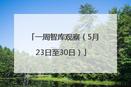 一周智库观察（5月23日至30日）