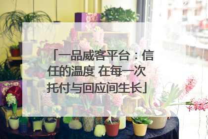 一品威客平台：信任的温度 在每一次托付与回应间生长