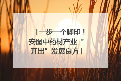 一步一个脚印！安图中药材产业“开出”发展良方