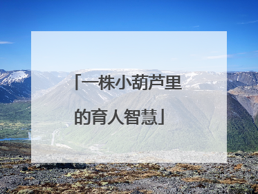一株小葫芦里的育人智慧