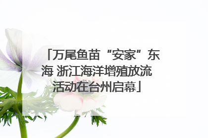 万尾鱼苗“安家”东海 浙江海洋增殖放流活动在台州启幕