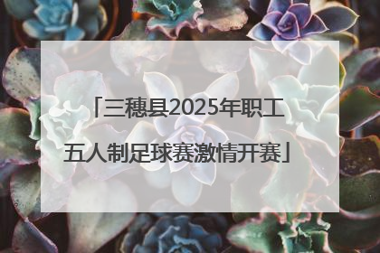 三穗县2025年职工五人制足球赛激情开赛