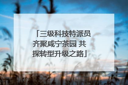 三级科技特派员齐聚咸宁茶园 共探转型升级之路
