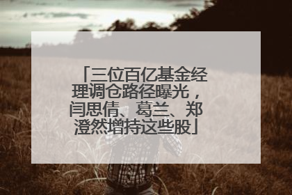 三位百亿基金经理调仓路径曝光，闫思倩、葛兰、郑澄然增持这些股