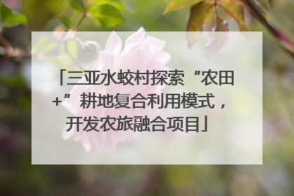 三亚水蛟村探索“农田+”耕地复合利用模式，开发农旅融合项目