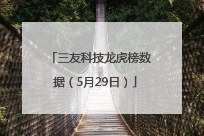 三友科技龙虎榜数据（5月29日）