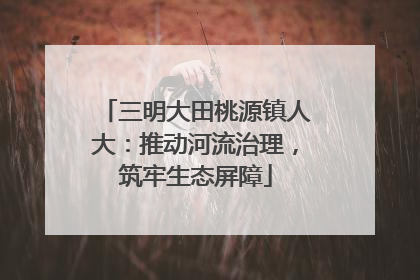 三明大田桃源镇人大：推动河流治理，筑牢生态屏障