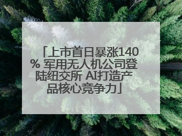 上市首日暴涨140% 军用无人机公司登陆纽交所 AI打造产品核心竞争力