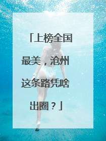 上榜全国最美，沧州这条路凭啥出圈？