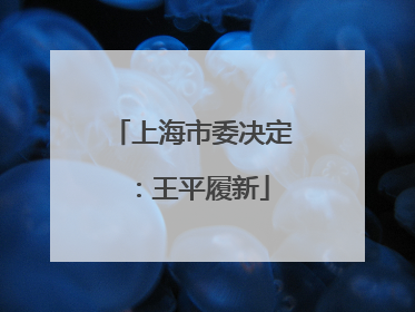 上海市委决定：王平履新