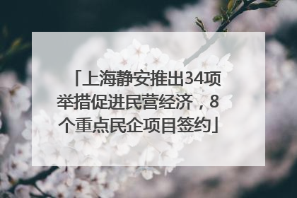 上海静安推出34项举措促进民营经济，8个重点民企项目签约