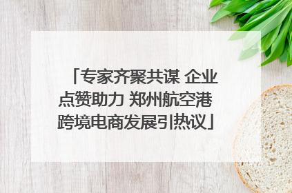 专家齐聚共谋 企业点赞助力 郑州航空港跨境电商发展引热议