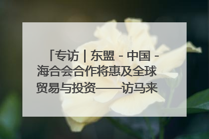 专访｜东盟－中国－海合会合作将惠及全球贸易与投资——访马来西亚亚太“一带一路”共策会高级研究员本恩·纳戈拉