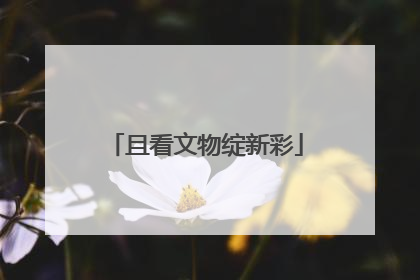 且看文物绽新彩