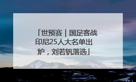 世预赛｜国足客战印尼25人大名单出炉，刘若钒落选
