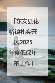 东安县花桥镇扎实开展2025年度低保年审工作