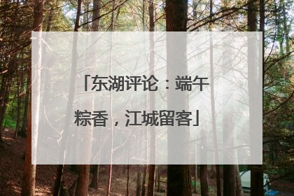 东湖评论：端午粽香，江城留客