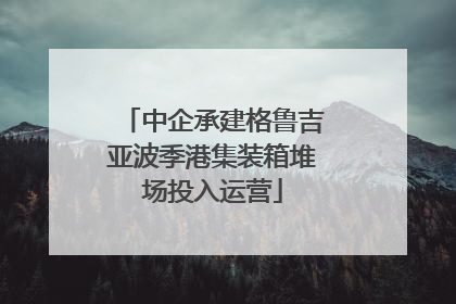 中企承建格鲁吉亚波季港集装箱堆场投入运营
