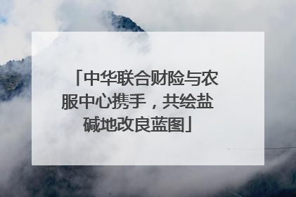 中华联合财险与农服中心携手，共绘盐碱地改良蓝图