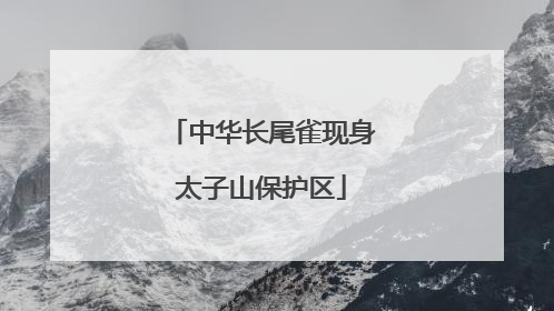 中华长尾雀现身太子山保护区