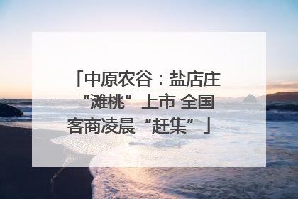 中原农谷：盐店庄“滩桃”上市 全国客商凌晨“赶集”