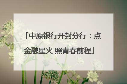 中原银行开封分行：点金融星火 照青春前程