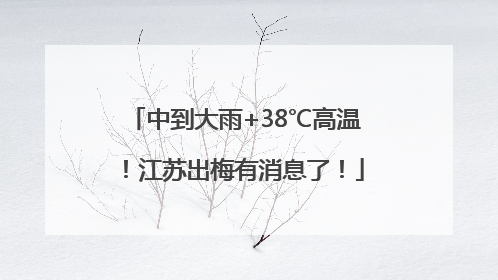 中到大雨+38℃高温！江苏出梅有消息了！