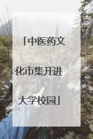 中医药文化市集开进大学校园