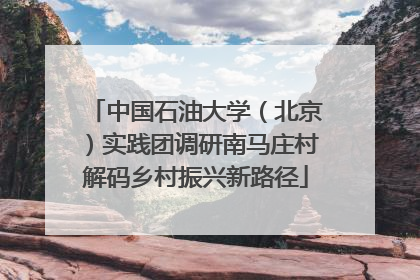 中国石油大学（北京）实践团调研南马庄村解码乡村振兴新路径