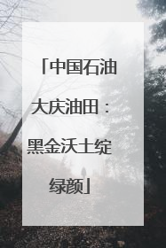 中国石油大庆油田：黑金沃土绽绿颜