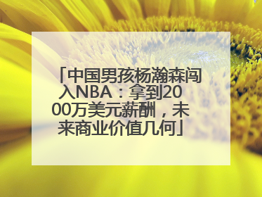 中国男孩杨瀚森闯入NBA：拿到2000万美元薪酬，未来商业价值几何