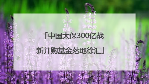 中国太保300亿战新并购基金落地徐汇