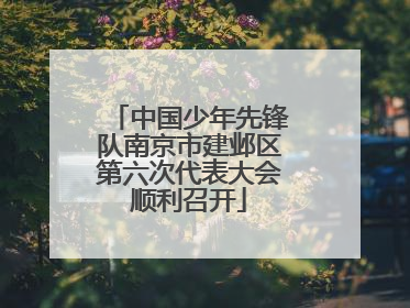 中国少年先锋队南京市建邺区第六次代表大会顺利召开