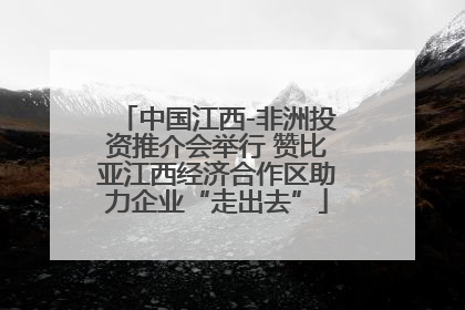 中国江西-非洲投资推介会举行 赞比亚江西经济合作区助力企业“走出去”