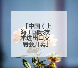 中国（上海）国际技术进出口交易会开幕