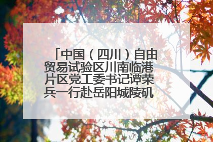 中国（四川）自由贸易试验区川南临港片区党工委书记谭荣兵一行赴岳阳城陵矶综保区考察