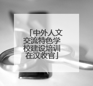 中外人文交流特色学校建设培训在汉收官