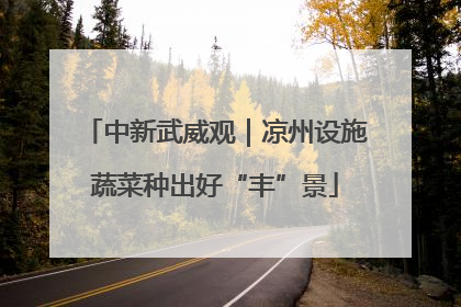 中新武威观｜凉州设施蔬菜种出好“丰”景