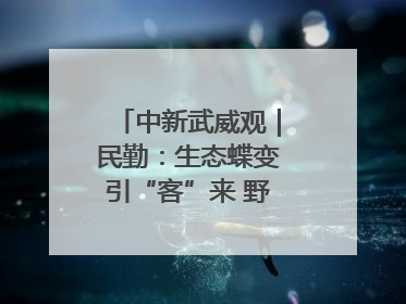 中新武威观｜民勤：生态蝶变引“客”来 野生动物乐逍遥