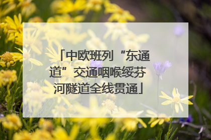 中欧班列“东通道”交通咽喉绥芬河隧道全线贯通