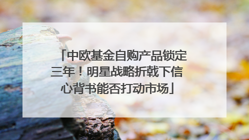 中欧基金自购产品锁定三年！明星战略折戟下信心背书能否打动市场