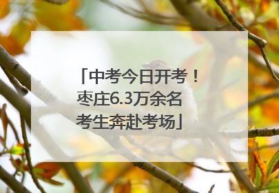 中考今日开考！枣庄6.3万余名考生奔赴考场