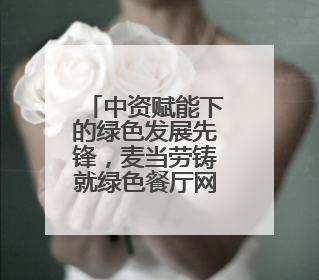 中资赋能下的绿色发展先锋，麦当劳铸就绿色餐厅网络
