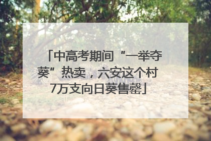 中高考期间“一举夺葵”热卖，六安这个村7万支向日葵售罄