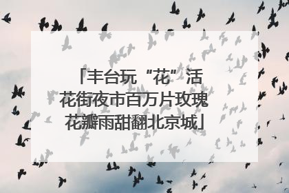 丰台玩“花”活 花街夜市百万片玫瑰花瓣雨甜翻北京城