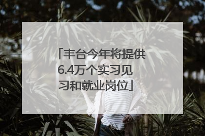 丰台今年将提供6.4万个实习见习和就业岗位