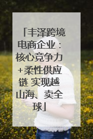 丰泽跨境电商企业：核心竞争力+柔性供应链 实现越山海、卖全球