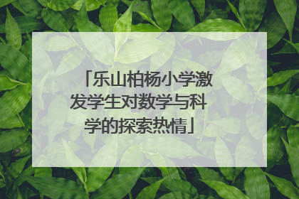 乐山柏杨小学激发学生对数学与科学的探索热情
