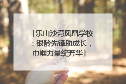 乐山沙湾凤凰学校：银龄先锋助成长，巾帼力量绽芳华