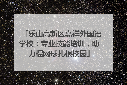 乐山高新区嘉祥外国语学校：专业技能培训，助力棍网球扎根校园
